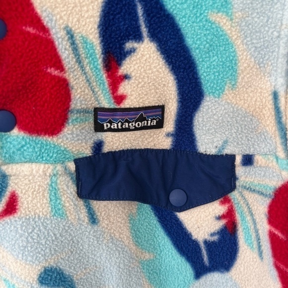 Patagonia Synchilla Fleece Tool Snap Pullover RARE - Picture 5 of 11